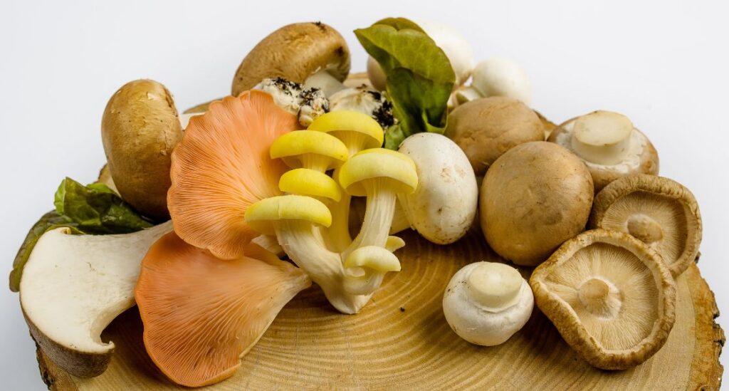 exotic mushrooms