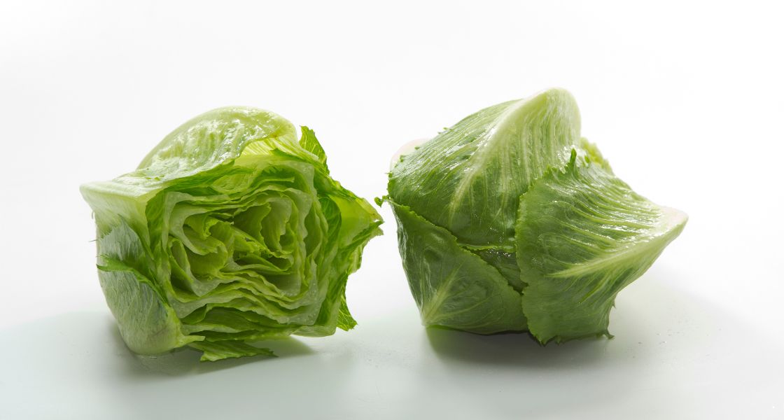 iceberg lettuce