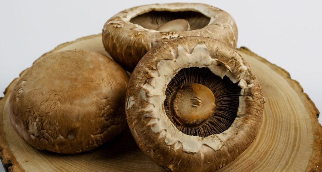 portobello mushrooms