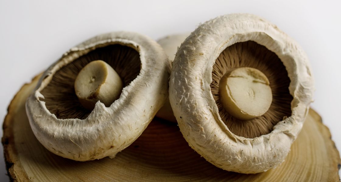 white flat mushrooms