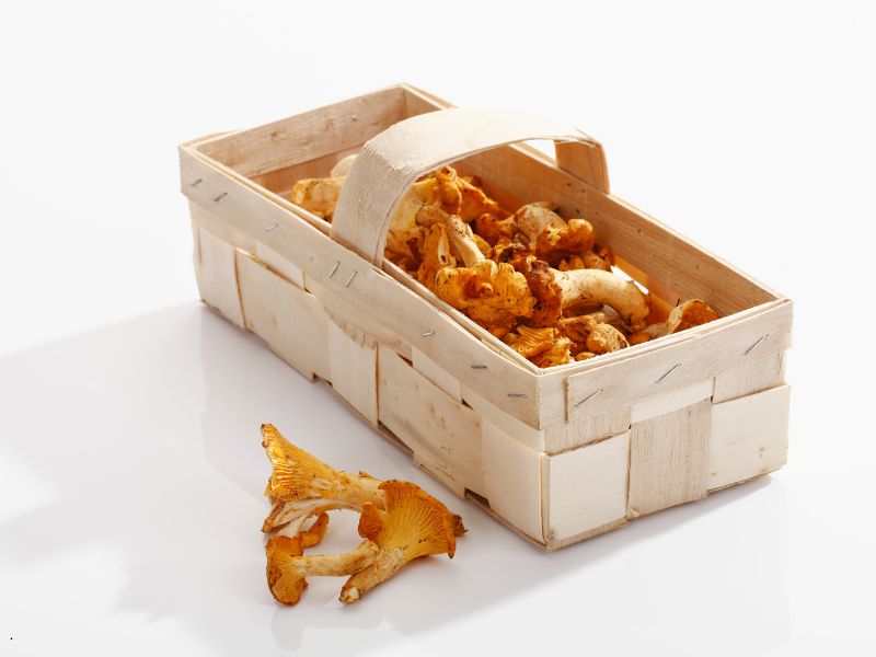 chanterelle-basket