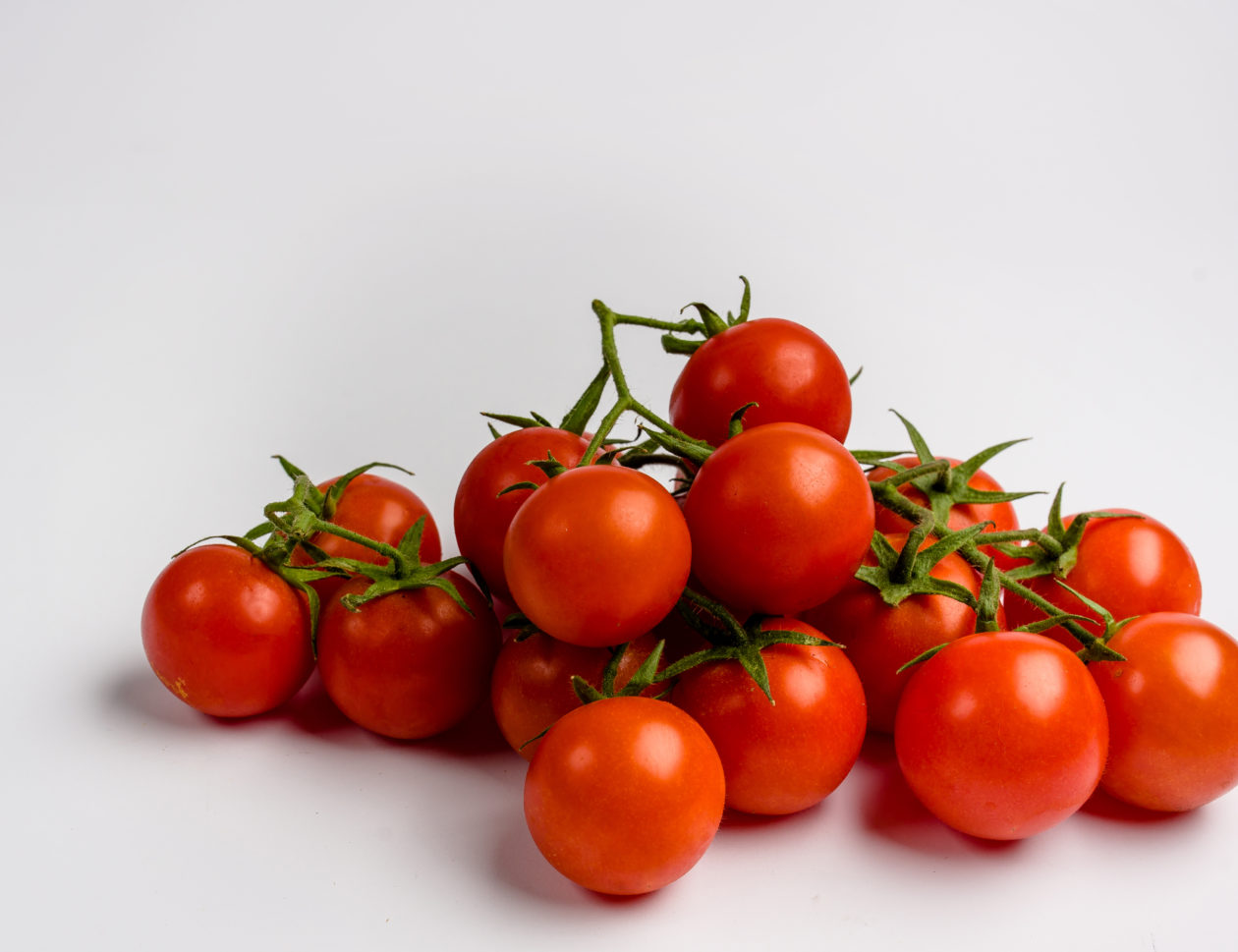 tomatoes wholesale