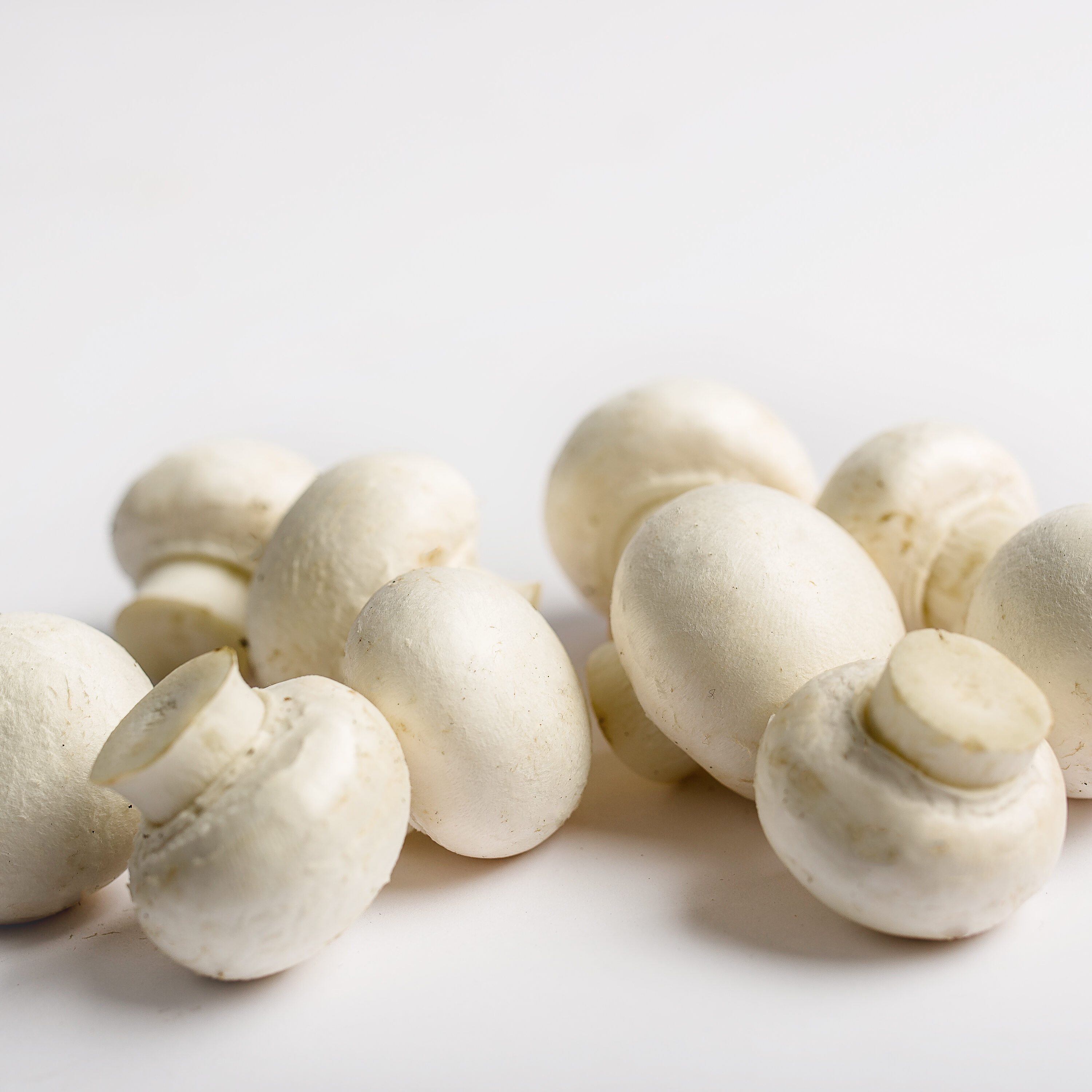 white mushrooms