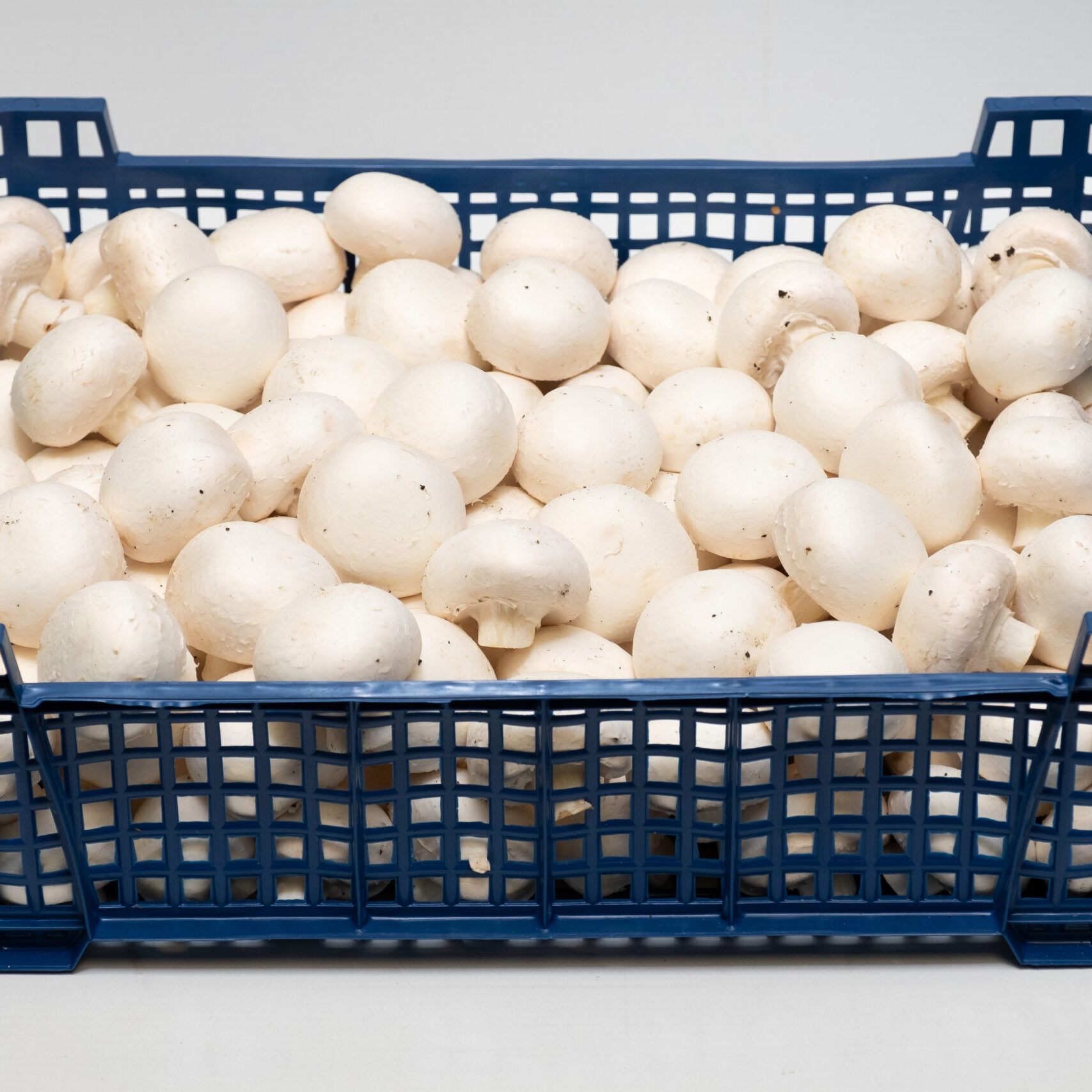 white mushrooms trays