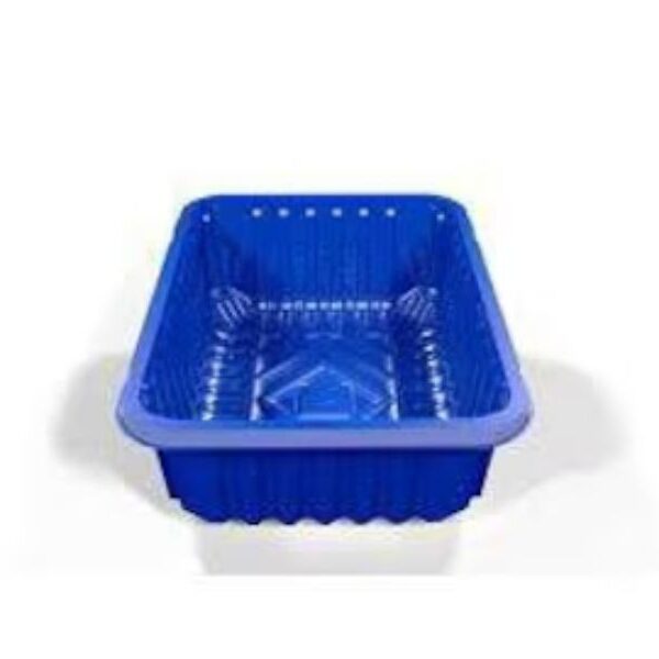 blue tray for mushrooms