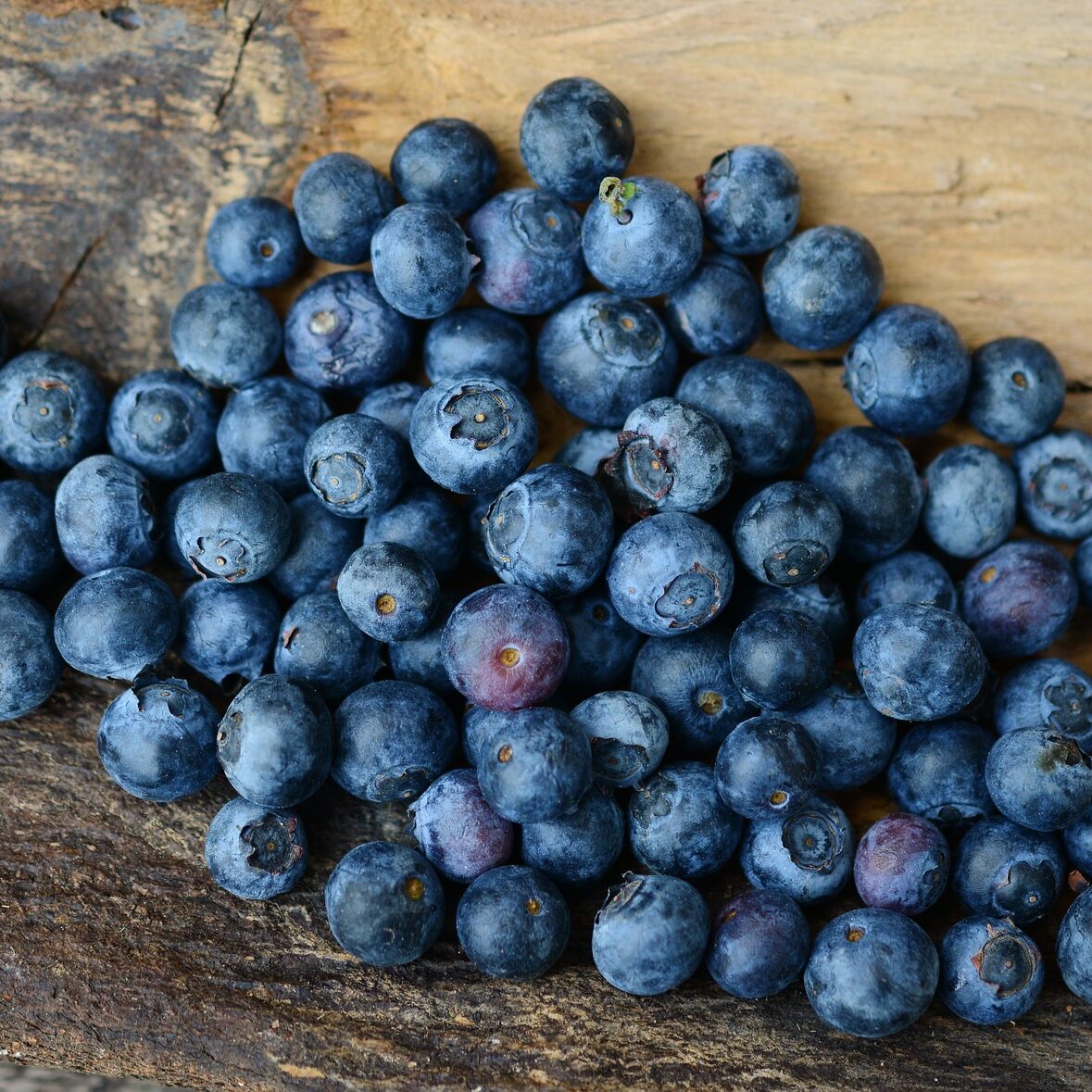 forest berries