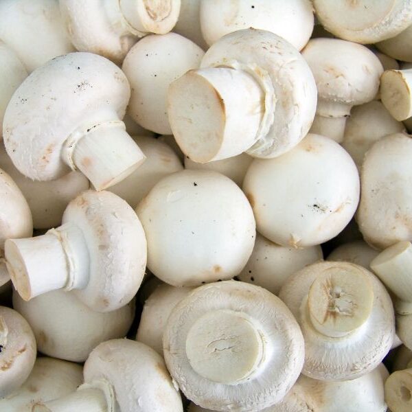 button mushrooms