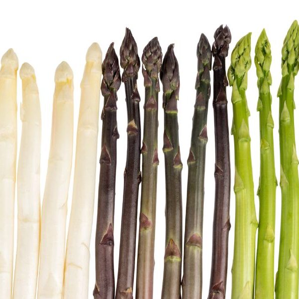 green white and purple asparagus