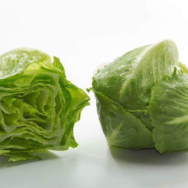 iceberg lettuce