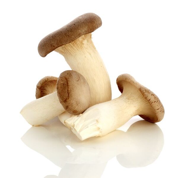 king oyster mushrooms