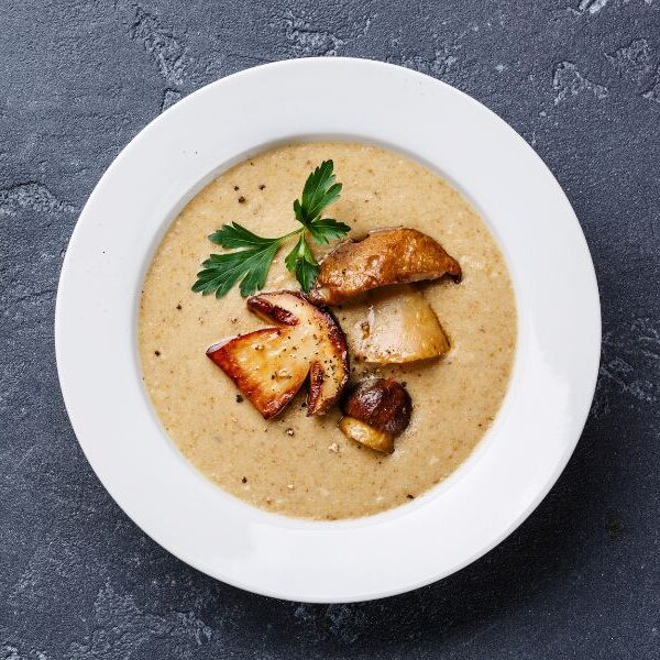 porcini-soup