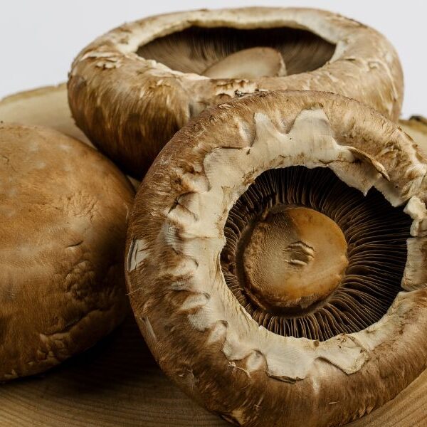 portobello mushrooms