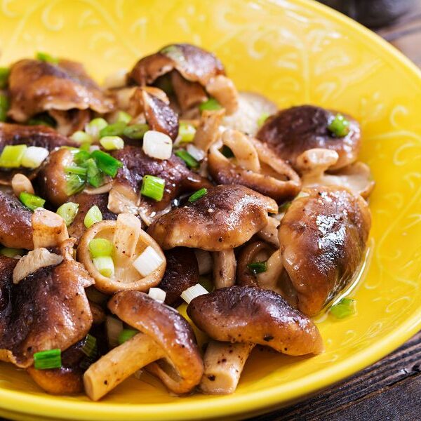 shiitake vege dish